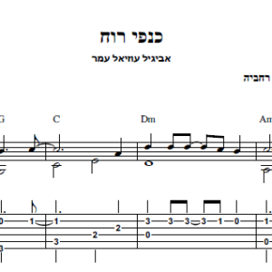 עיבוד לגיטרה מאת חגי רחביה לשיר כנפי רוח הכולל תווים לגיטרה,טאבים לגיטרה ואקורדים לגיטרה.
